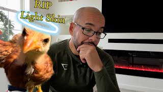 The Benefits & Challenges Of Hen Keeping