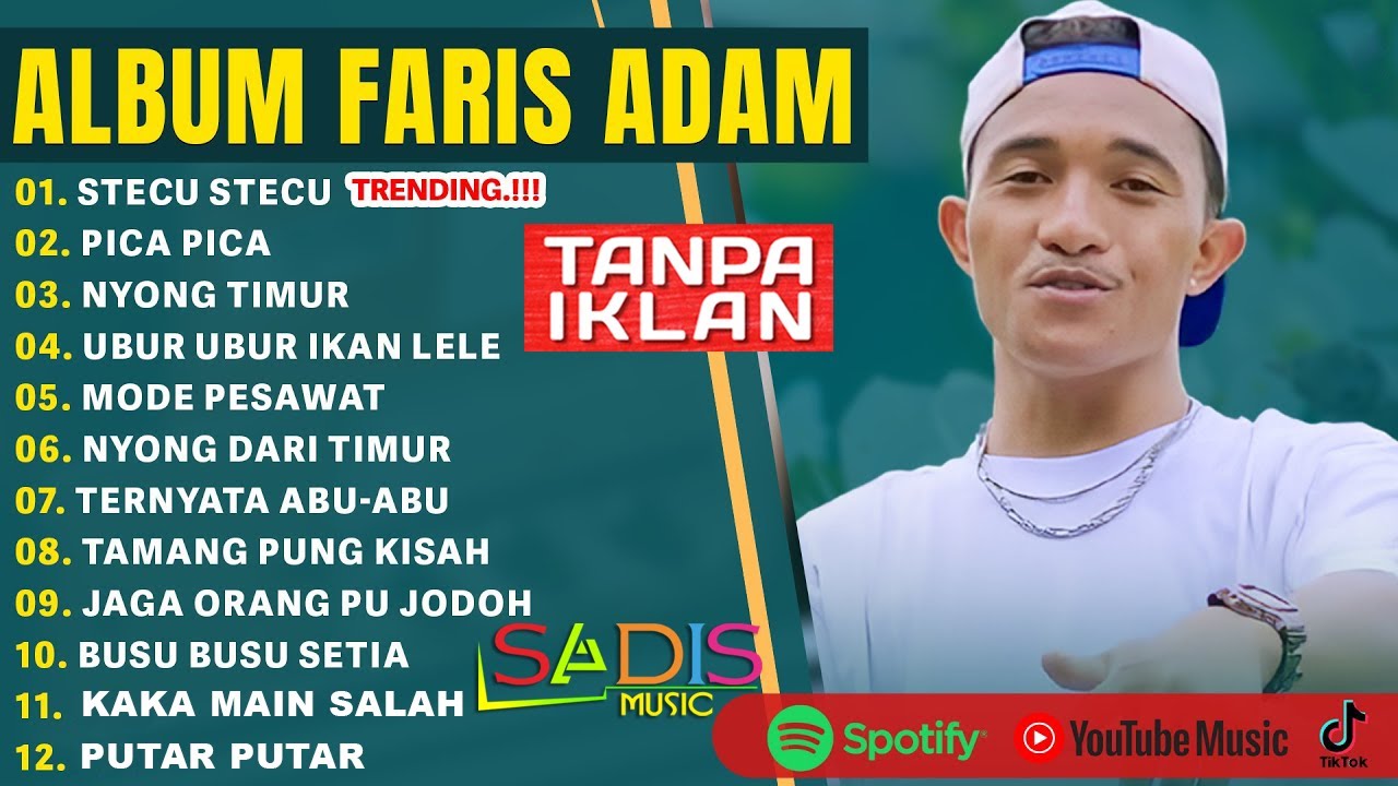 FARIS ADAM - STECU TECU | PICA PICA | NYONG TIMUR | LAGU POP TIMUR VIRAL TIKTOK 2025 | LAGU JOGET