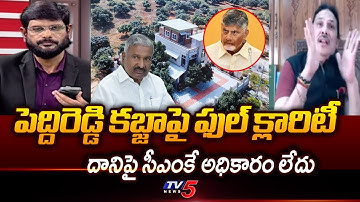 Prof GVR Sastry Comments On Peddireddy Ramachandra Reddy Forest Land Grabbing || TV5 News