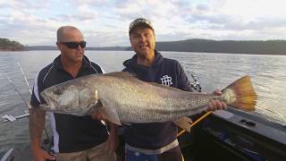 IFISH Hawkesbury Mulloway