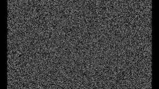 Holy Shiitake Mushroom Supreme Soup Episode 1