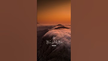 "من اجمل ما تسير من القرآن | تلاوه مؤثره بصوت الشيخ محمد احمد حسن الطالب الازهري