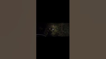 سورة الأحزاب ، آية 59، صفحة 429 #قران_كريم #تلاوة #اكسبلور #reels