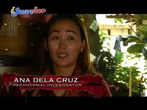 What is the truth behind the death of Julie Vega?