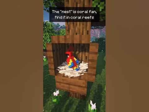 HOW TO MAKE BIRD NEST IN [MINECRAFT] POCKET EDITION.(INFINIX OP) - YouTube