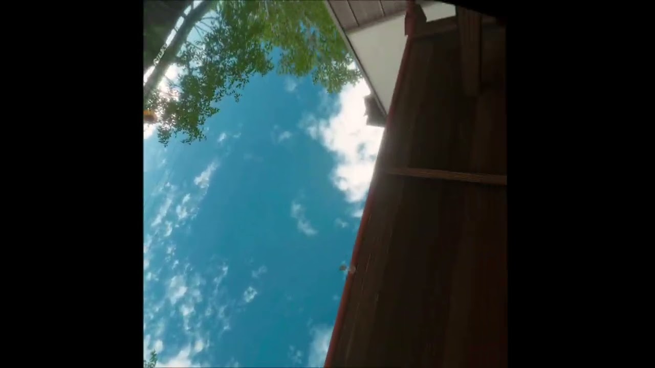 道草屋VRy