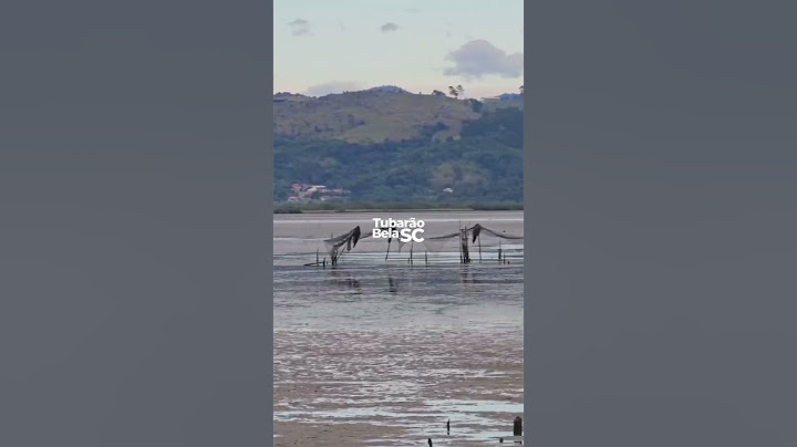 Maré recua mais de 200 metros e revela o fundo da lagoa em SC — Fenômeno impressiona turistas