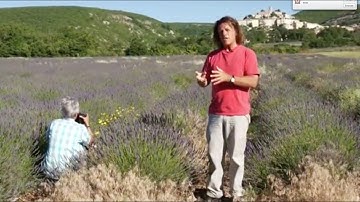 Immediate Foreground Ep 310: You Keep Shooting with Bryan Peterson:  Adorama Photography TV