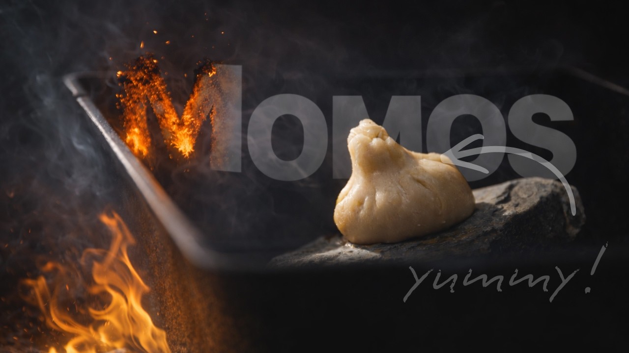 MOMOS aus dem Feuer - Frisch, lecker und gesund!