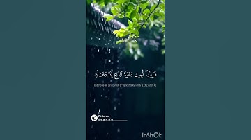 تلاوه هادئة تريح الأعصاب 🎧😴القارئ :مصطفى جبل