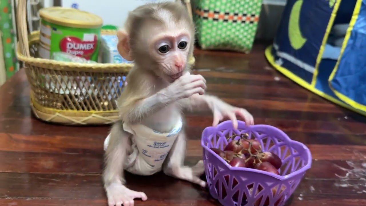 First time for you baby 