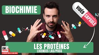 ?CAPSULE DE COURS : Quoi maîtriser dans LES PROTEINES en biochimie en Licences LAS/PASS 