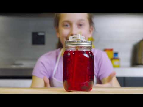 Augmented Reality Food Science Lab
