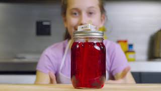 Augmented Reality Food Science Lab