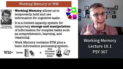 367 Lecture 10.1 Working Memory and the Central Executive