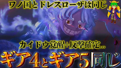 ワンピース予