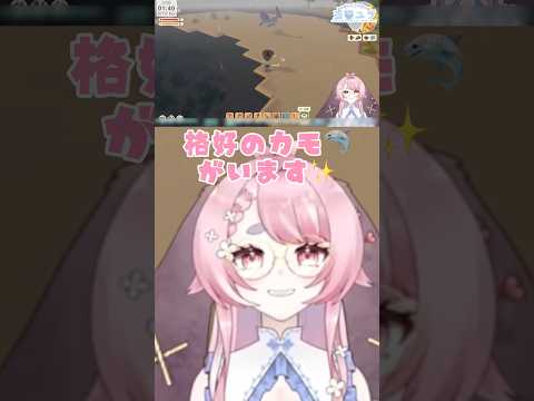 【ディンカム/DiNKUM】地の利を活かして戦う🐇と可哀想な🦈【玉響ユラ/Vtuber】#shorts #切り抜き