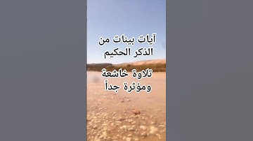 آيات بينات من الذكر الحكيم #اكسبلور #لايك #explore #صبرو #quran #ترند #المصحف #القرآن_الكريم #قرآن