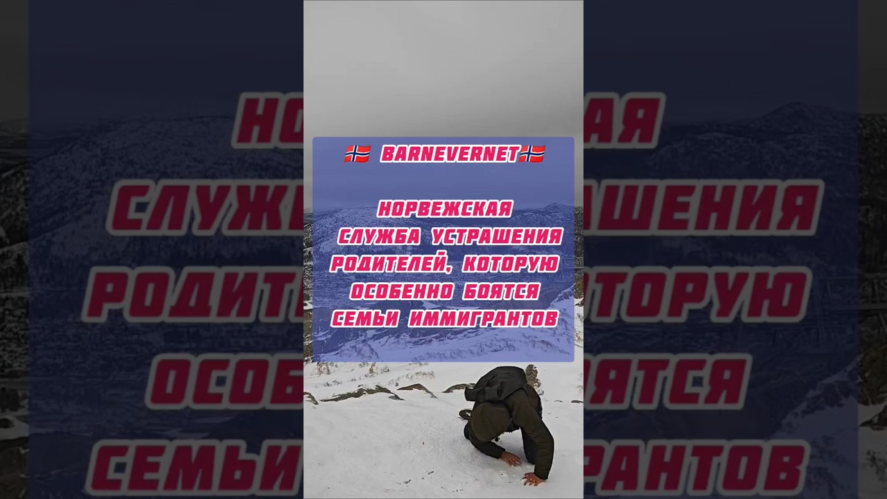 Barnevernet — норвежская служба устрашения родителей, которую особенно боятся семьи иммигрантов