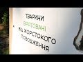 Домівка врятованих тварин. [Зоопарки України]