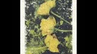 Inteha song DEEWANA DIL