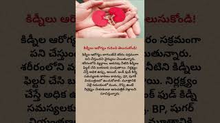 Kidney Health Tips Everyone Must Know | Telugu Health News Today