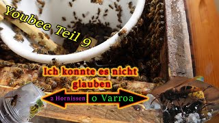 YouBee System Teil 9 Varroa Tester im Einsatz