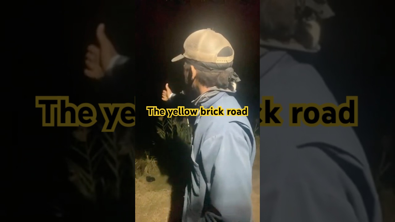 Я увидел дорогу из жёлтого кирпича 
