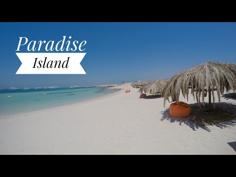 Video: Hurghada'da dalğıc