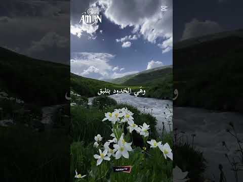هي العيون ماخلقت تتبكي Youtubeshorts اكسبلور تصميمي Explore Explorepage Edit Reels اغاني