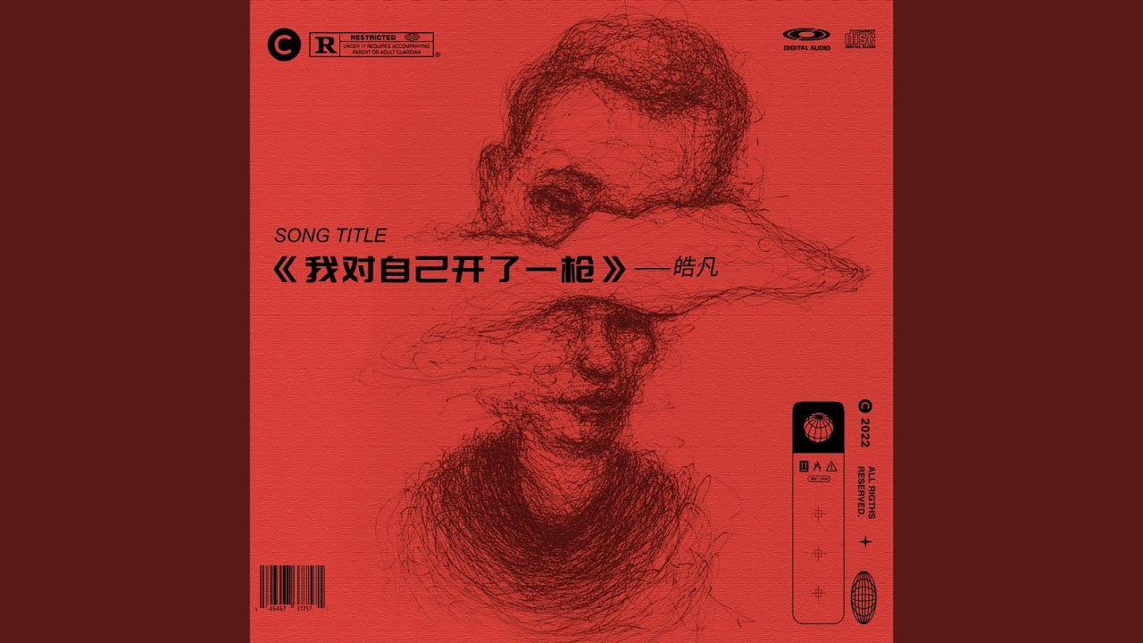 我对自己开了一枪