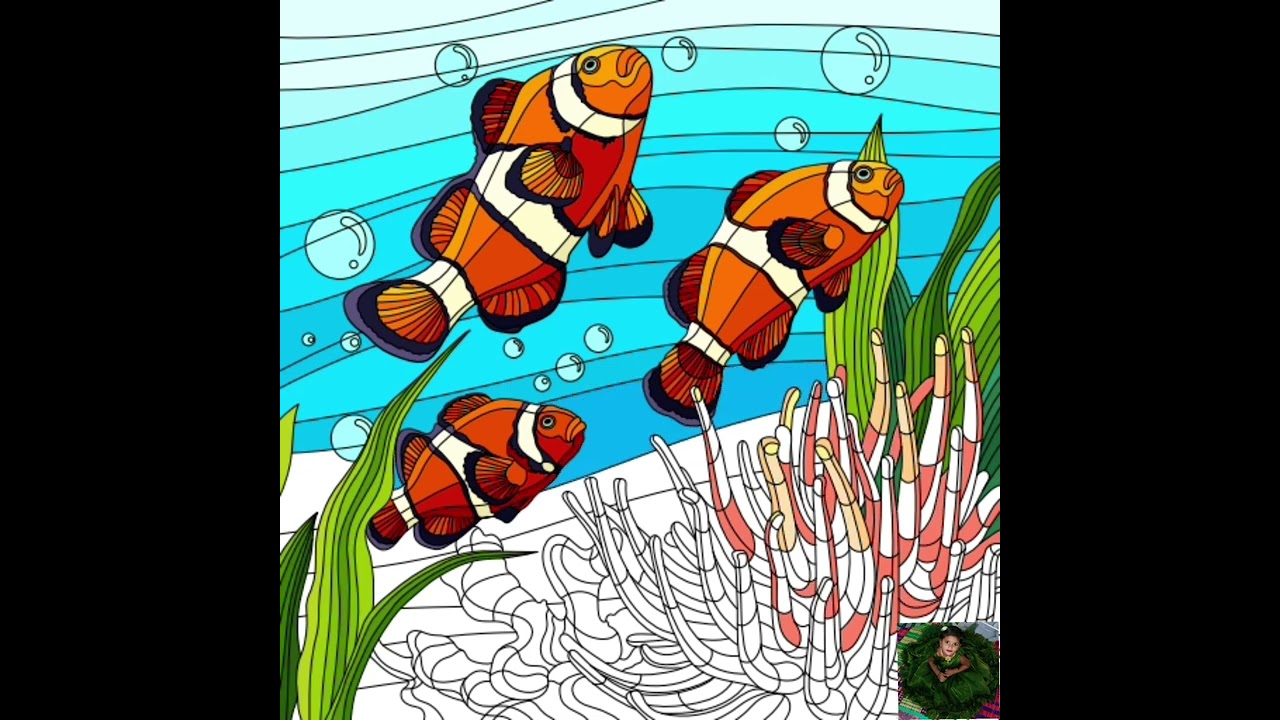 Nemo fish colouring video