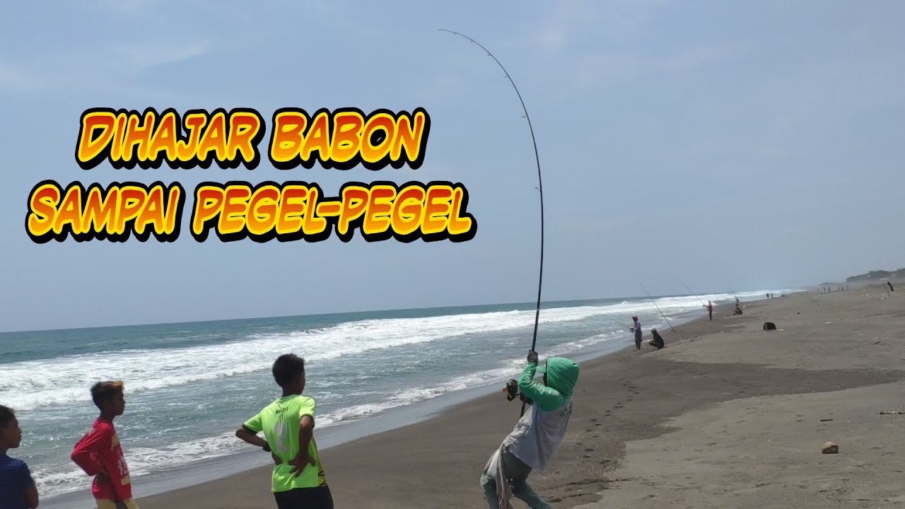 Dihajar Babon Sampai Klenger - Mancing Pinggiran