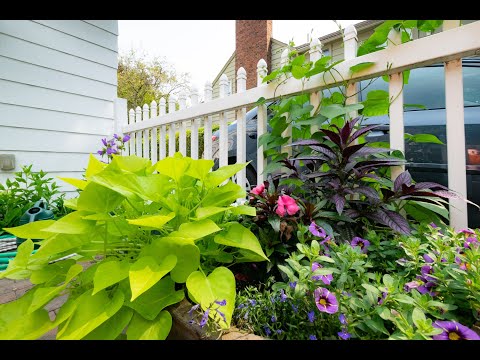 161 Avalon Drive, Rochester, NY home video tour