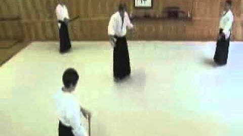 Aikido - Aikido Randori - Multiple Attackers With Weapons