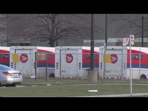 Liberals give formal notice for law to end Canada Post strike - YouTube