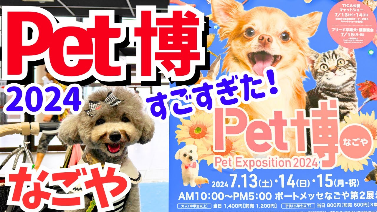 【Pet博2024なごや】名古屋は本当に凄かった！㏌ポートメッセなごや【前編】