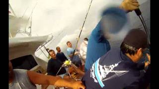 Mako attacks Swordfish