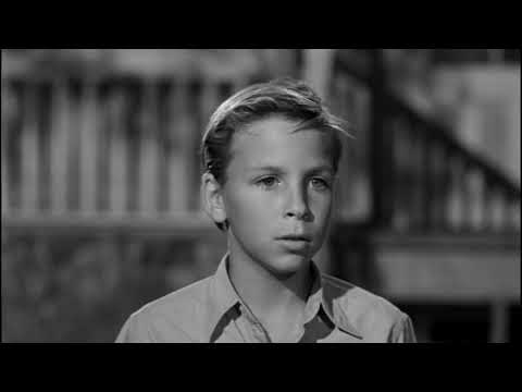 The Night of the Hunter (1955) - Harry Powell Arrested
