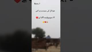 Bato Sb 🤭❤ 2025