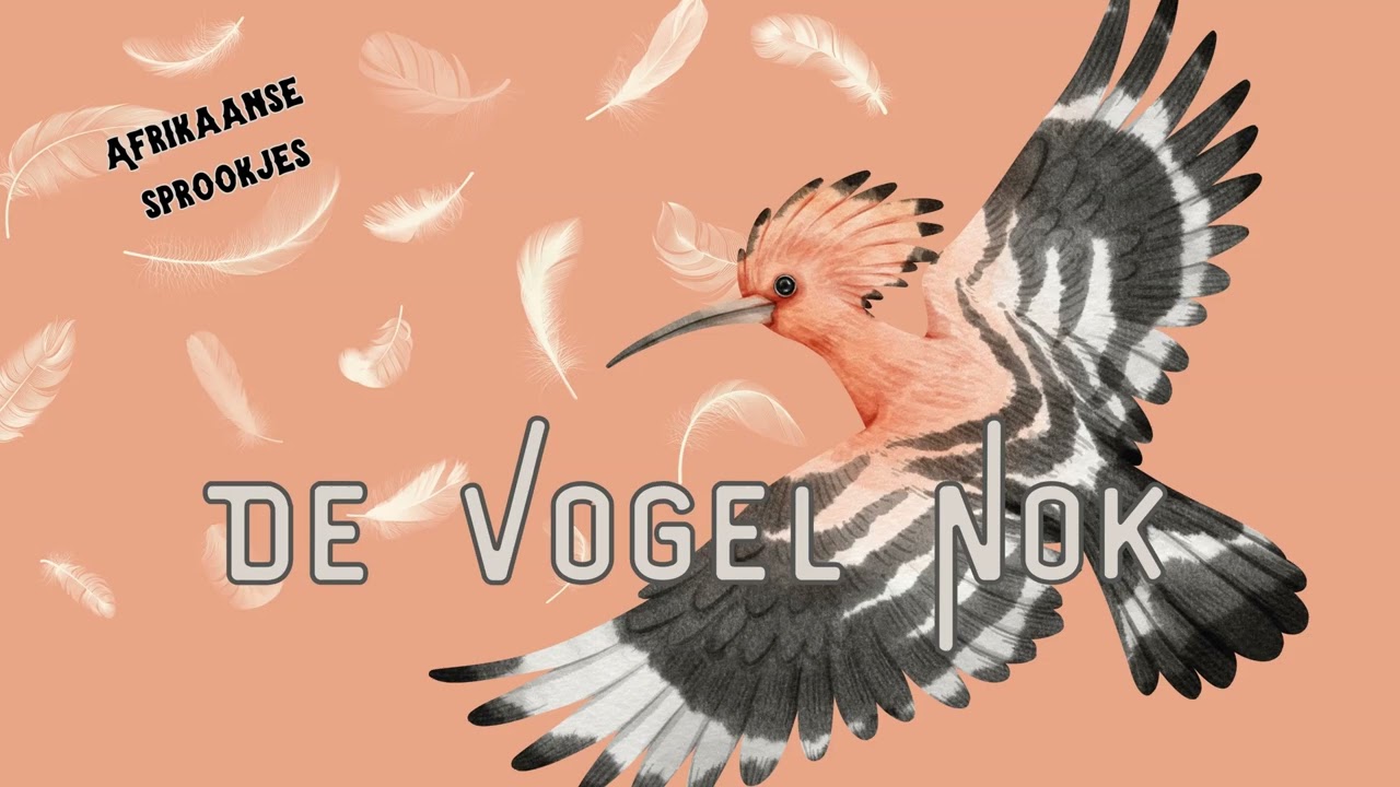 Afrikaanse Sprookjes - DE VOGEL NOK - Luistersprookje