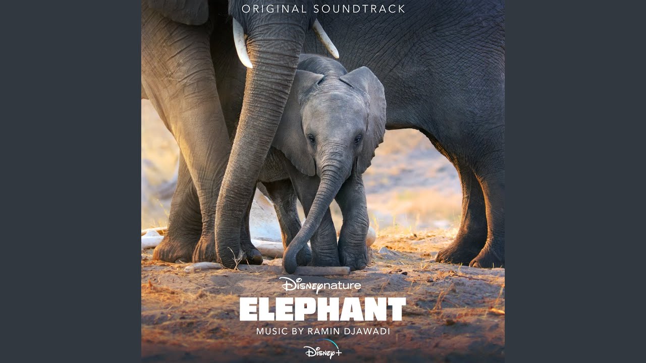 Watch Pool Party on YouTube Watch Pool Party on YouTube