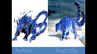 All Tailed Beast in Real Life-Naruto