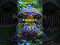 birds ki video __butyfull birds #birds #sorts #animation