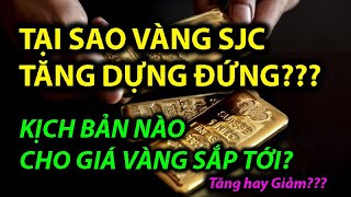 TẠI SAO VÀNG SJC TĂNG DỰNG ĐỨNG??? Kịch bản nào cho GIÁ VÀNG sắp tới?