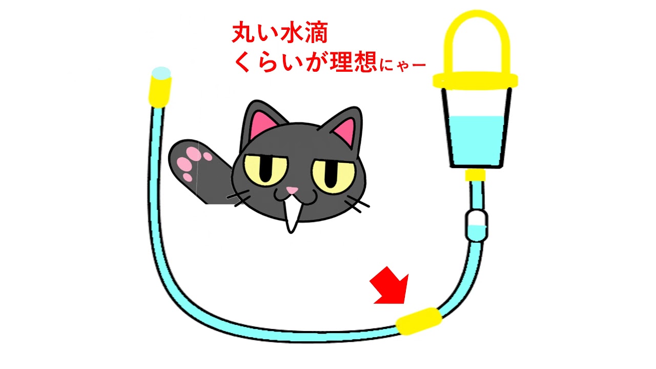 超分かりやすい★経管栄養実技テスト向け動画