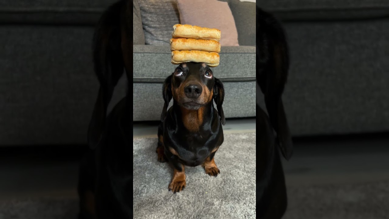 Sausage roll balance!