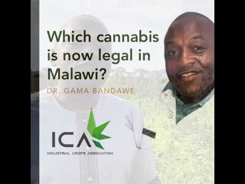 What kinds of cannabis were legalised in Malawi in 2020 - ICA Malawi