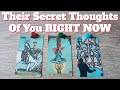 What are their secret thoughts of you right now pick a card  timeless love tarot