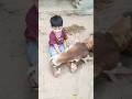 Jay Goumata вќ пёЏрџ Џ Shortsfeed Cow Gaai Youtubeshorts Gaya Gay Gaumata Cowshorts Jay Goumata вќ пёЏрџ Џ Shortsfeed Cow Gaai Youtubeshorts Gaya Gay Gaumata Cowshorts